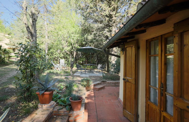 Fattoria Sant'Andrea - Photo 22