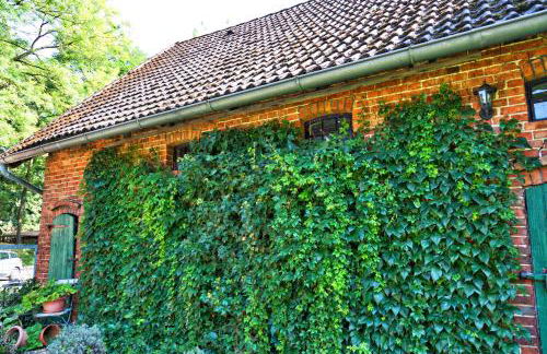 Ferienwohnungen Manfred Peters Baven - Photo 31