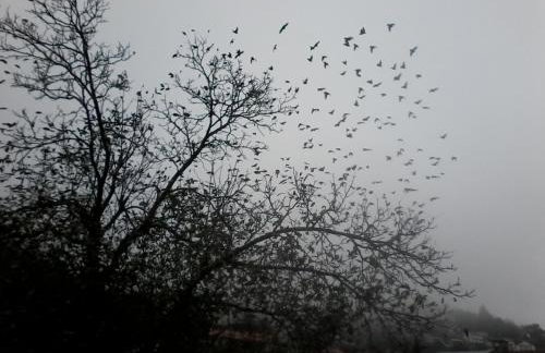 Stivakti Chalet - Foto 27