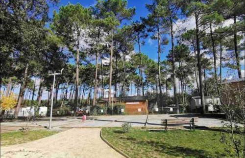 Vacances sous les pins, près de la mer, 6-8 pers,bien équipé, piscine - Foto 21