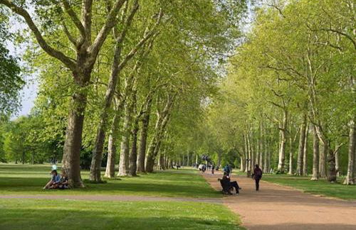 Farm Retreat in Sunny Calabria - Foto 22