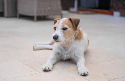 Villa Lily - Foto 14