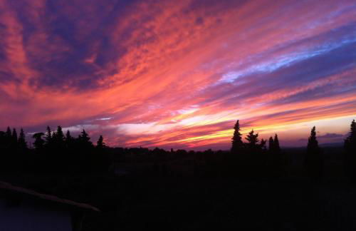 Le Petit Viala - Foto 22