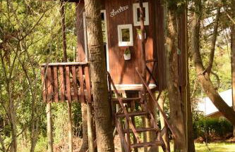 Quintal das Araucárias hospedagem - Foto 15