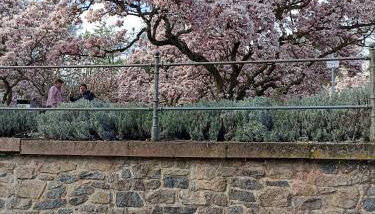 Haus am Berg - Foto 5