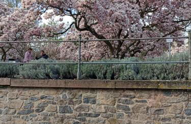 Haus am Berg - Photo 5