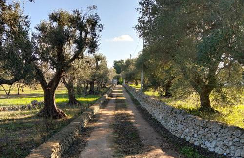 Trullo Felice - Photo 13