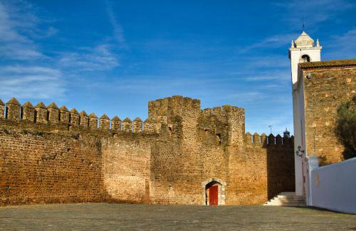 Monte Alecrim - Foto 43