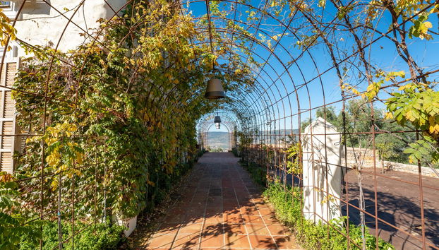 Cortijo La Organic - Foto 3