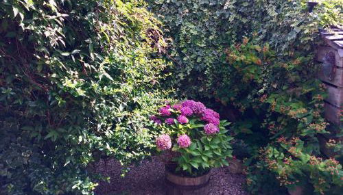 The Cottage - Foto 2