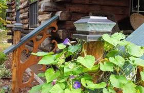 Deer Valley Retreat, Lovely Log Cabin with Fireplace & Garden Views- Perfect for a Relaxing Getaway! - Foto 53