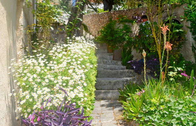 Apartments Martiva - Photo 7