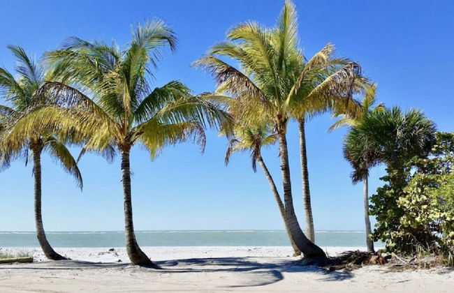 The Little Oasis Beach House - Photo 8