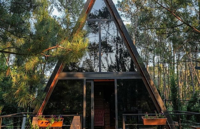 Seaside Chalet Guruli Kokhebi - Photo 24