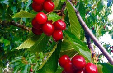 Casa El Herragu - Photo 18