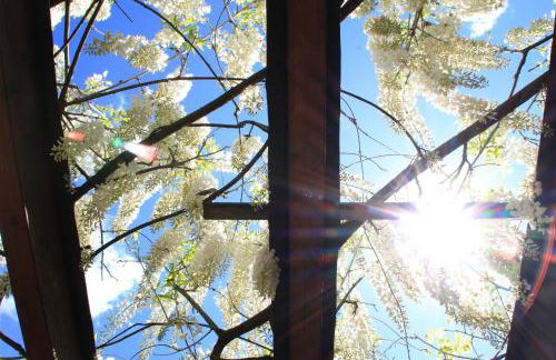 Podere la Campagnola - Foto 34