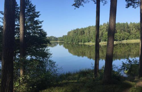 Chatka mojego dziadka - Foto 33