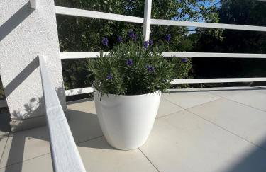 Pinezići apartman Niccole - Foto 21
