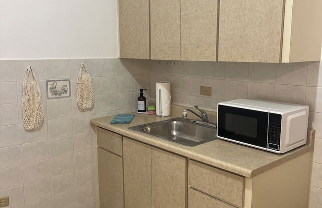 Vista Ramey Apartment - Photo 7