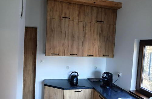 Osada Blanka Leśny Zakątek Jezioro Rzeka Swornegacie - Foto 31