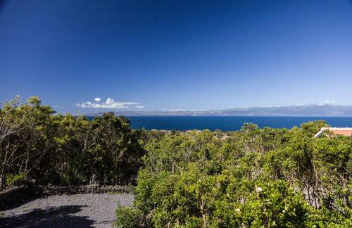 Casas do Caminho Novo - Photo 15