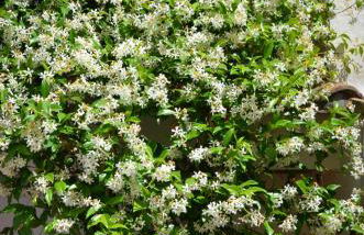 Luxury Apartment Pantheon - Foto 46