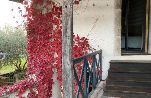 Domaine les Pierres - Foto 11