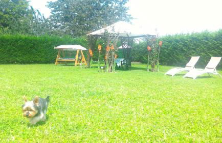 Appartamenti DOLOMITI - Foto 8