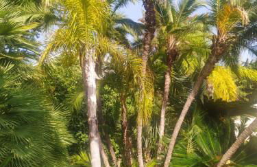 Pergolato suite - Foto 20