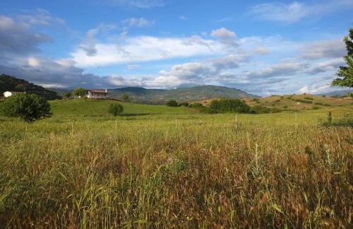 Auberge Santu Martine: Cottage with Pool (Manca) - Foto 43