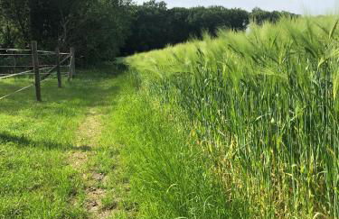 Das Ministerhaus - historisches Anwesen für Gruppen und Seminare - Photo 45