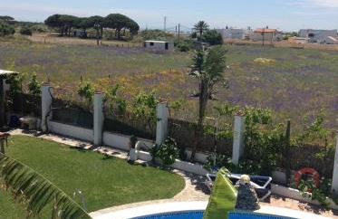 Placer de Meca - Foto 59