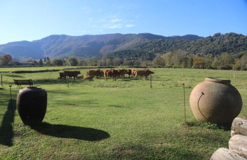 Mas planadevall - Photo 6