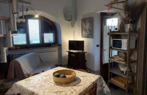 Podere Casallorto - Foto 17