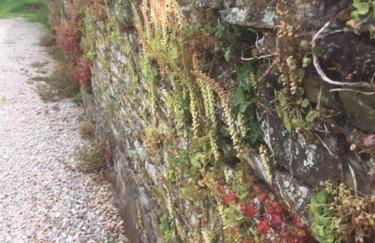 Devon Country Retreat The Linhay at Collaton Farm - Foto 21