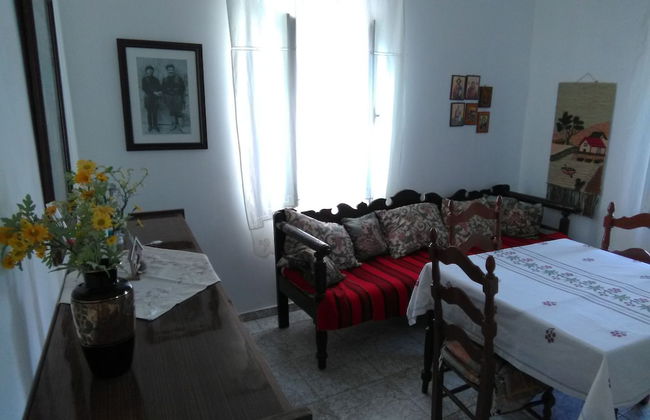 Garden Of Olive Trees - Photo 8