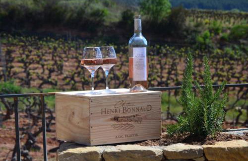 La Bastide - Le Grenache - Le Syrah au Domaine Chateau Henri Bonnaud - Foto 51