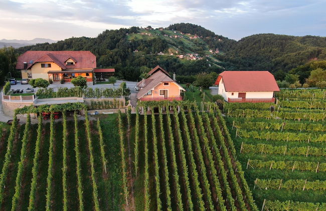 Vineyard Cottage Urban - Foto 12