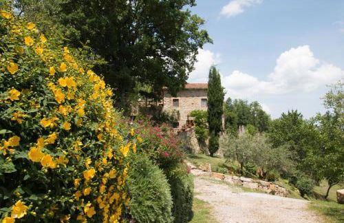 Podere Piandicava - Foto 32