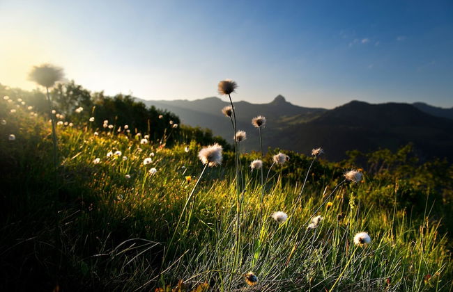 Apartment in Damuls Near Ski Slopes - Photo 36