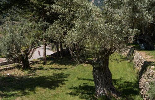 Alfabia Nou Agroturismo - Foto 57