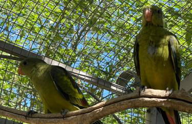 Gites le Pimayon - Foto 40