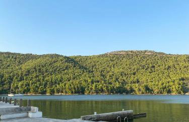 Koko's home - Photo 42