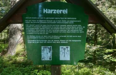 Fewo Schwarzwald Von Oben - Kniebis - Foto 26
