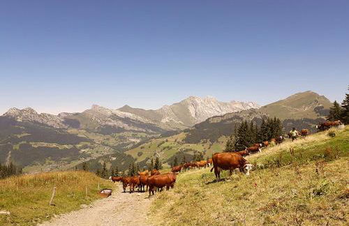 Duplex skis aux pieds centre village - 6 couchages - 2 salles de bain - Foto 22