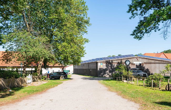 Ferienhaus in Eschede - Photo 61