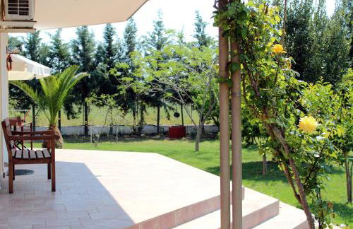 Ktima Anastasia - Foto 61