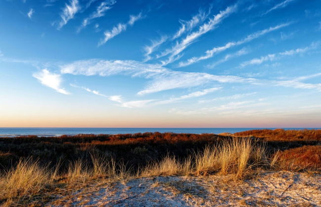 Beach House Langeoog - Foto 14