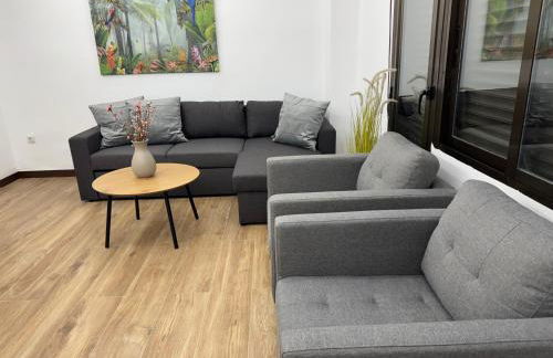 Entire apartment in the heart of downtown N&N - Photo 20