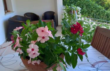 Domo de Mare - Foto 7